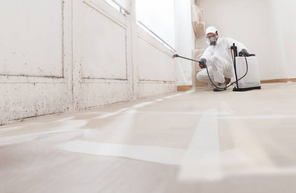 24/7 Emergency Commercial Mold Remediation experts in Haddon Heights, NJ